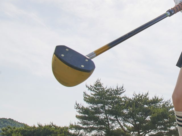 파크골프 클럽